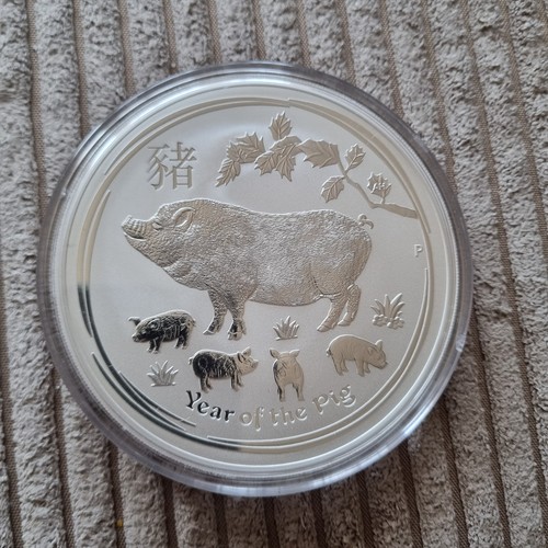 Lunar schwein 2019 - 10,