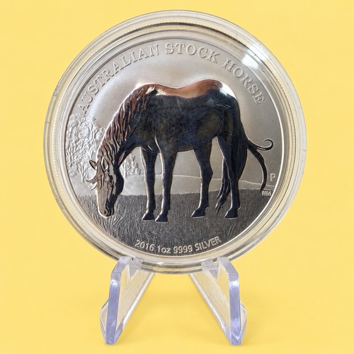 Australien stock horse 2016 - stock, 1