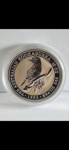 Australian kookaburra - 10,