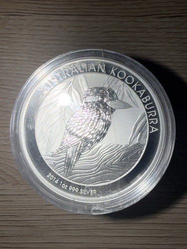 10x australian kookaburra - 10x, 2014