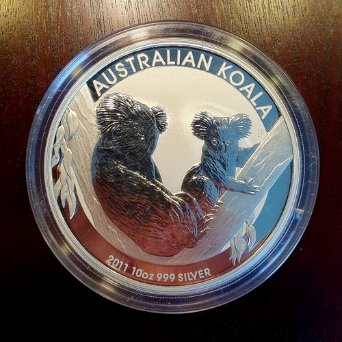 Australien koala 2011 - koala, oz